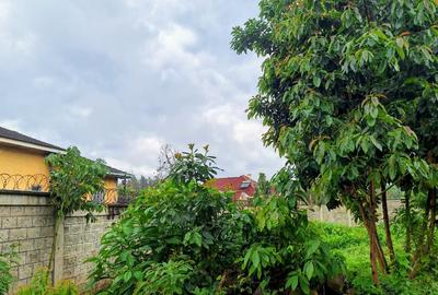0.5 ac Residential Land at Runda - 3