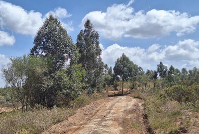 0.125 ac Residential Land at Kikuyu - 4