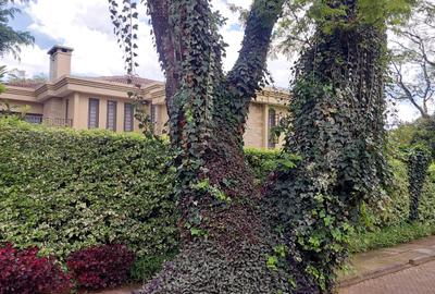 5 Bed Townhouse with En Suite in Karen