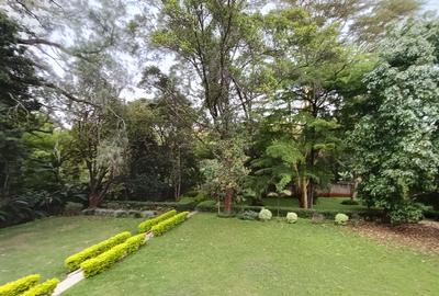 6 Bed House with En Suite in Nyari - 4