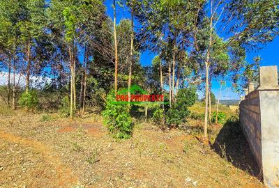 0.05 ha Residential Land at Lusigetti - 4