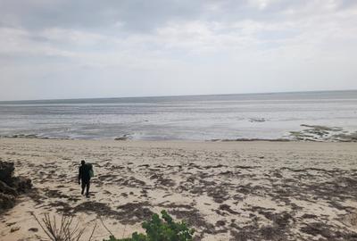 Residential Land at Tezo - 3