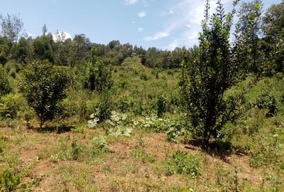 Land at Nyeri