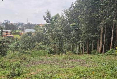 0.25 ac Land in Ruaka - 4