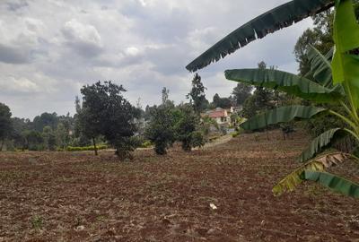 Land at Muthiga