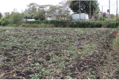 0.10 ha Land at Rimpa Road - 2