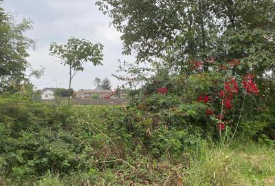 9.3 ac Residential Land at Kahawa Sukari A