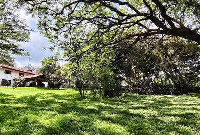 3 ac Residential Land at Old Kitisuru