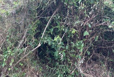 3,182 m² Residential Land in Vipingo - 4