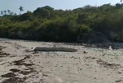 Land at Tiwi - 3