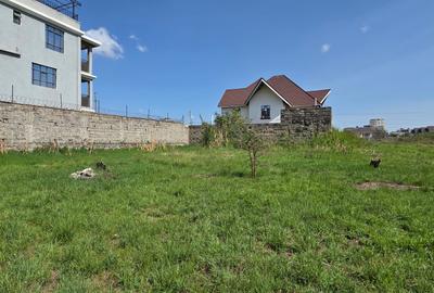 0.125 ac Residential Land at 2Nd Avenue