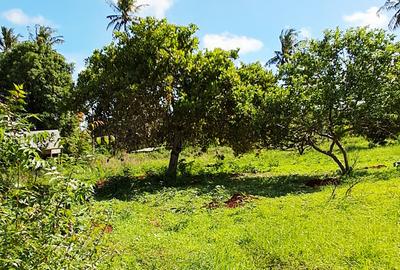 Land at Vipingo - 4