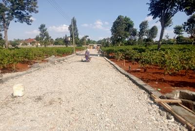 Residential Land in Runda