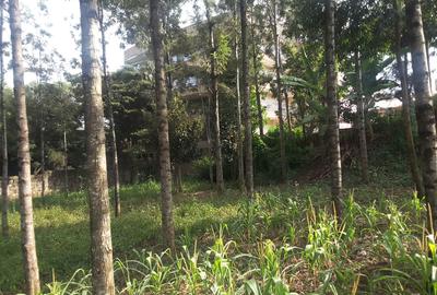 0.113 ac Commercial Land in Ongata Rongai - 4