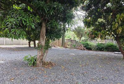 Commercial Property in Lavington - 3