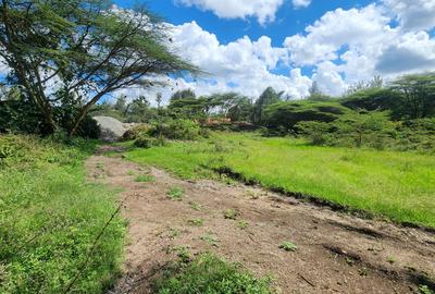 0.5 ac Land at Masai Lodge - 2