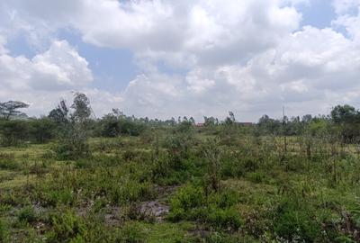 0.365 ha Residential Land in Karen