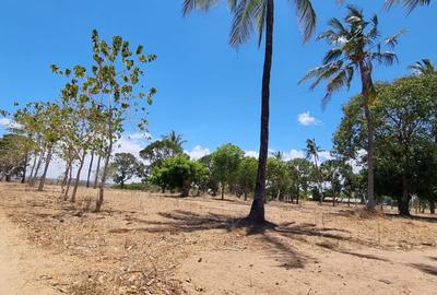 1 ac Land at Creek Beach Side