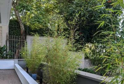 Serviced 2 Bed Apartment with En Suite at Old Kitisuru