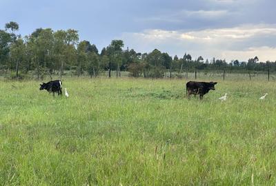 Land in Nanyuki