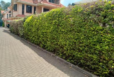 5 Bed Townhouse with En Suite in Lavington