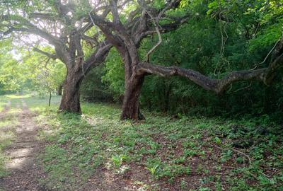 90 ac Residential Land at Kuruwitu-Vipingo - 3