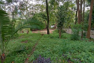 Residential Land at Othelo Lane