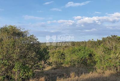 10 ac Land in Nanyuki