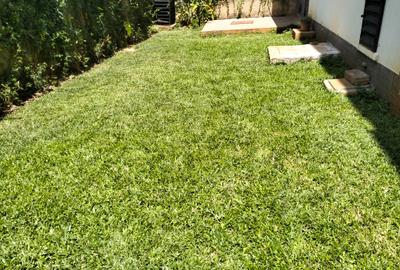 5 Bed Townhouse with En Suite in Westlands Area - 2