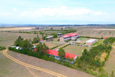 Residential Land in Naivasha - 3