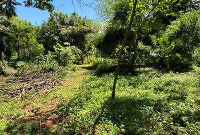 0.5 ac Residential Land in Kitisuru - 4