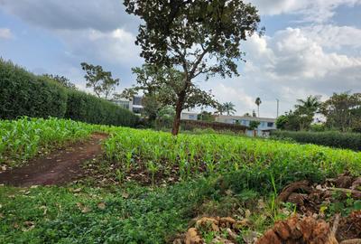 Residential Land in Karen