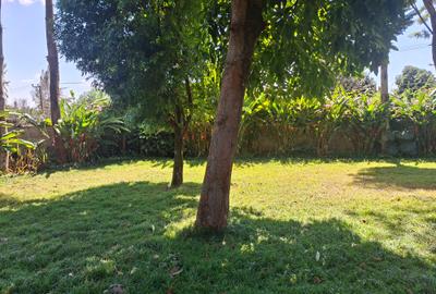 4 Bed House with En Suite at Off Mimosa Rd - 3