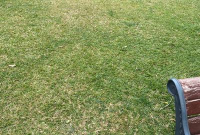 0.7 ac Land at Rhapta Road - 2