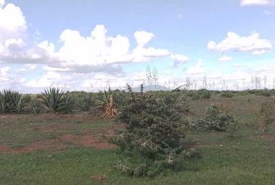 0.125 ac Land at Mhasibu Estate - Juja Farm