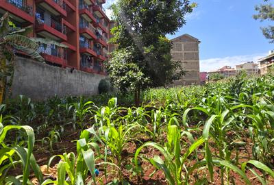 Commercial Land in Ruaka