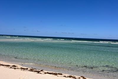 3 Bed Villa with En Suite at Vipingo Beach - 2