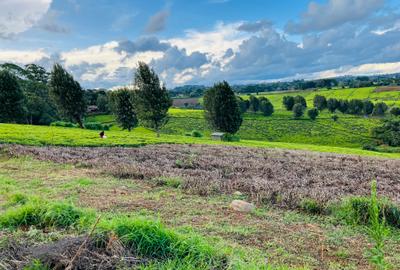 Land in Tigoni
