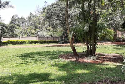 Commercial Property with Backup Generator in Lavington