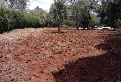 Residential Land at Runda - 3