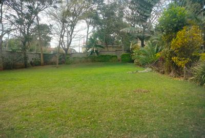 Commercial Property with Backup Generator at Easy Access To Un Avenue - 3