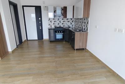 Studio Apartment with Gym in Kileleshwa - 2