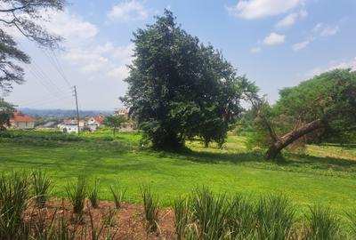 5,000 ft² Land in Kiambu Road