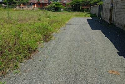 0.229 ac Commercial Land at Masai Lodge