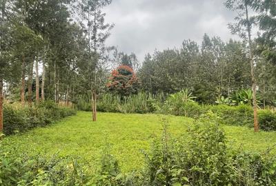 0.22 ac Land at Kiganjo Junction