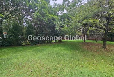 4 Bed House with En Suite in Lavington - 4