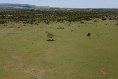 2.00 ac Land at Maasai Mara - 4