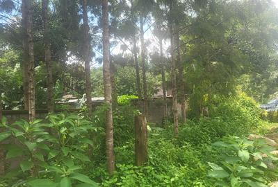 Land in Karen