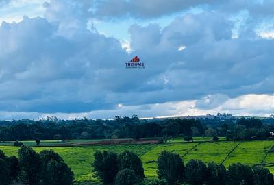 40 ac Land in Limuru - 4