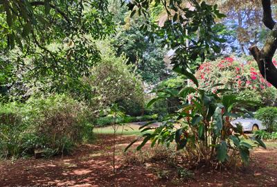 4 Bed House with En Suite at Lavington Green - 4